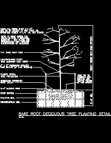 root cad landscaping detail tree commercial dwg bare pdf drawings deciduous plantin